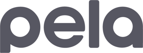 1625607407-pela-logo-new-grey